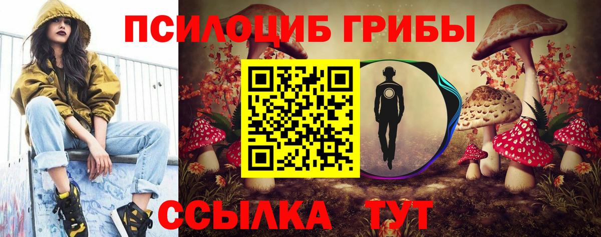 Галлюциногенные грибы Psilocybine cubensis Красноуфимск